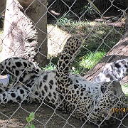 Picture 117